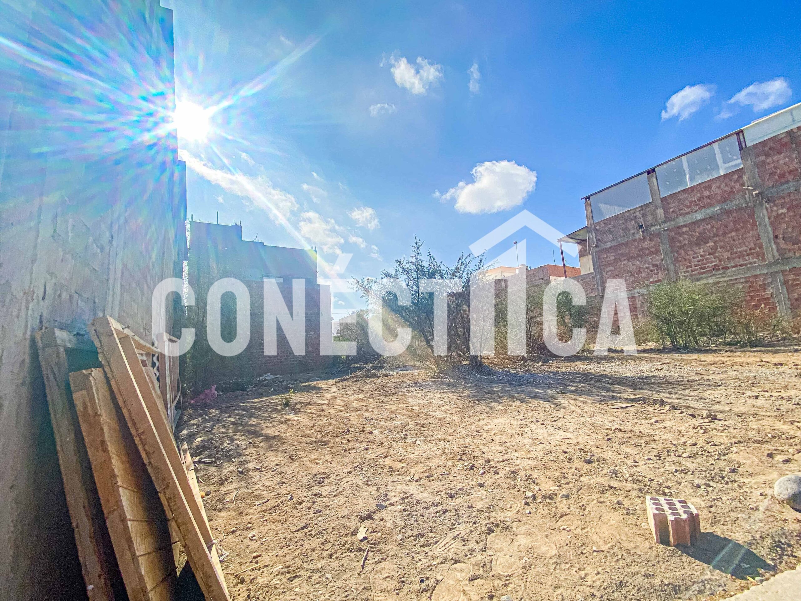 Venta de Terreno en Urb. Olivar - Cercado de Tacna - Imagen 3