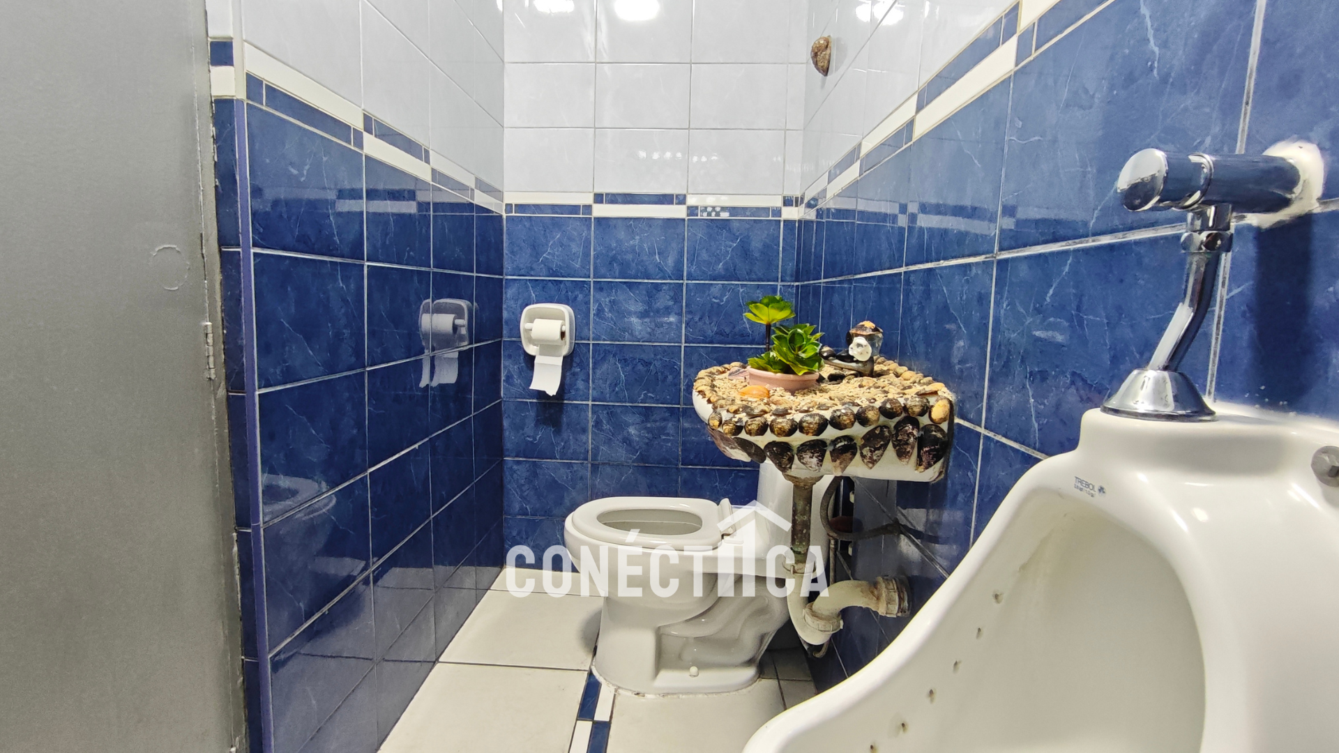 LOCAL COMERCIAL EN ALQUILER EN CERCADO DE ILO - Imagen 6