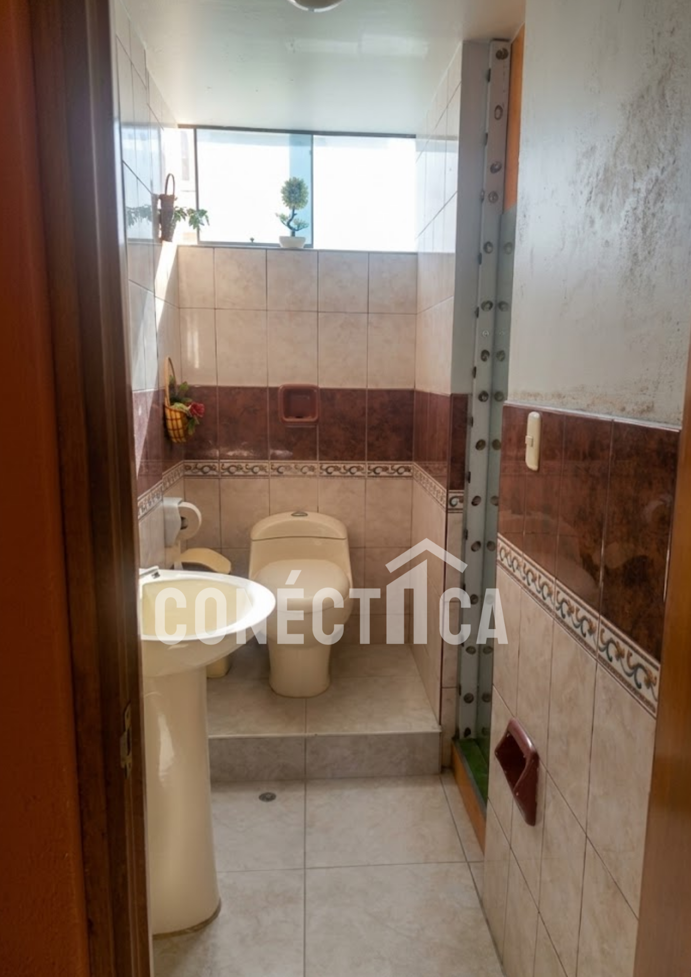 LOCAL COMERCIAL + DEPARTAMENTO + AZOTEA EN VENTA - CIUDAD NUEVA, ILO - Imagen 7