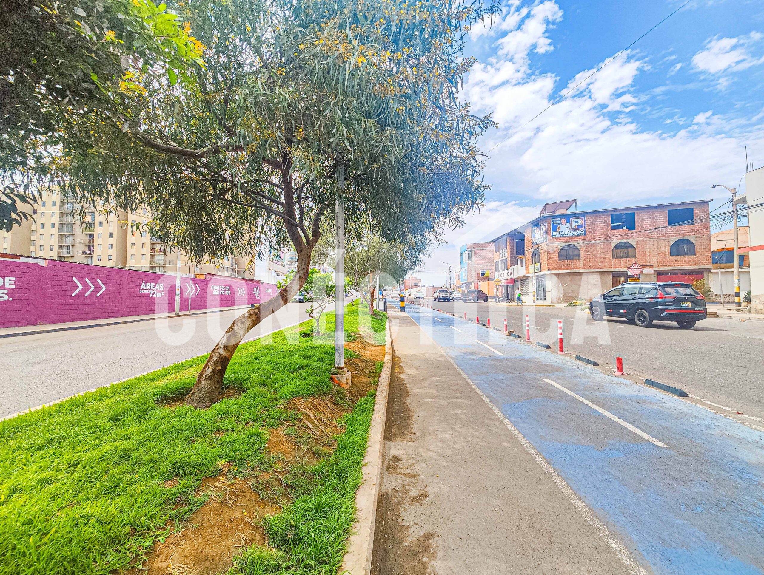 Venta de Terreno en Asoc. Los Sauces Greg. Albarracín) Tacna - Imagen 7